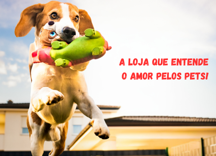 Conforto, diversão e saúde para o seu pet!! Conforto, diversão e saúde para o seu pet!!